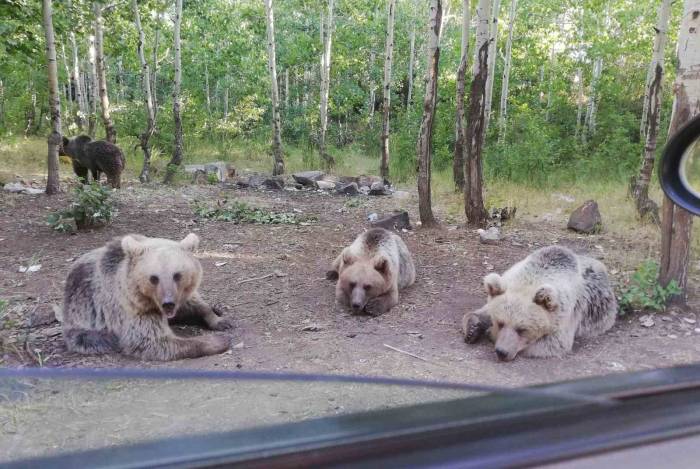 Bozayıyı Eliyle Besledi