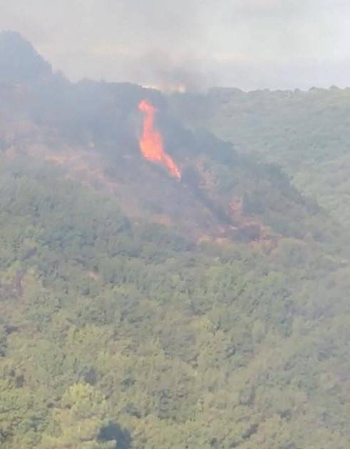 Sultangazi Kent Ormanı’nda Yangın Çıktı: Havadan Müdahale Ediliyor