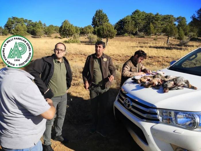 Burdur’da Kaçak Avcılara 41 Bin 267 Tl Para Cezası Uygulandı