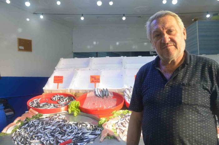 Marmara’da Hamsi Bolluğu Fiyatları Düşürdü, Vatandaşlar Hamsiye Akın Etti