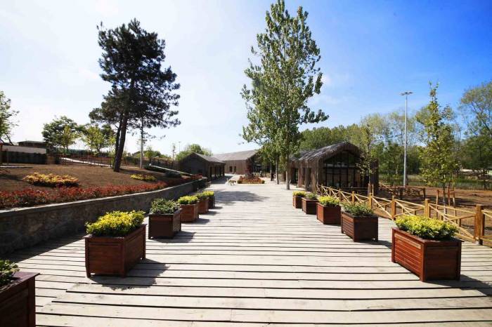 Doğa Harikası Longoza Ziyaretçi Akını