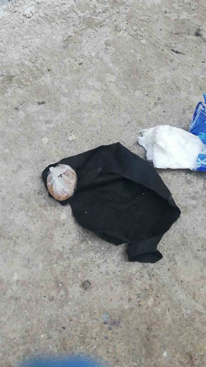 Asma Sundurması İçinde Bonzai Ticareti