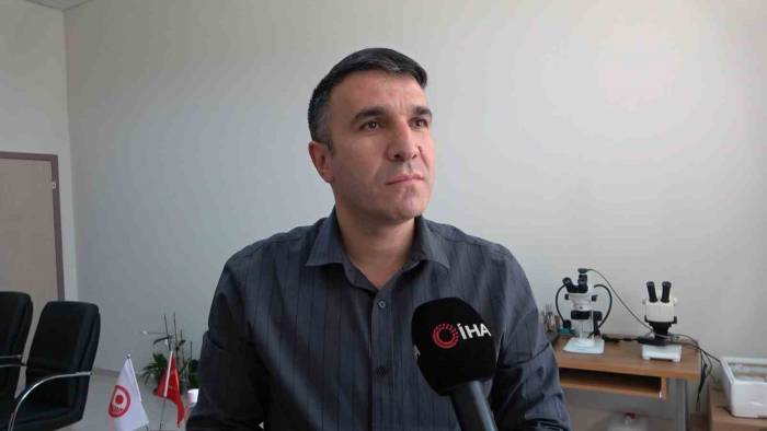 O Örümcekle İlgili Uzmanlardan Rahatlatan Açıklama