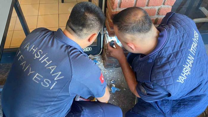 Dekoratif Tuğla Kolonun İçinden Yavru Kedi Çıktı