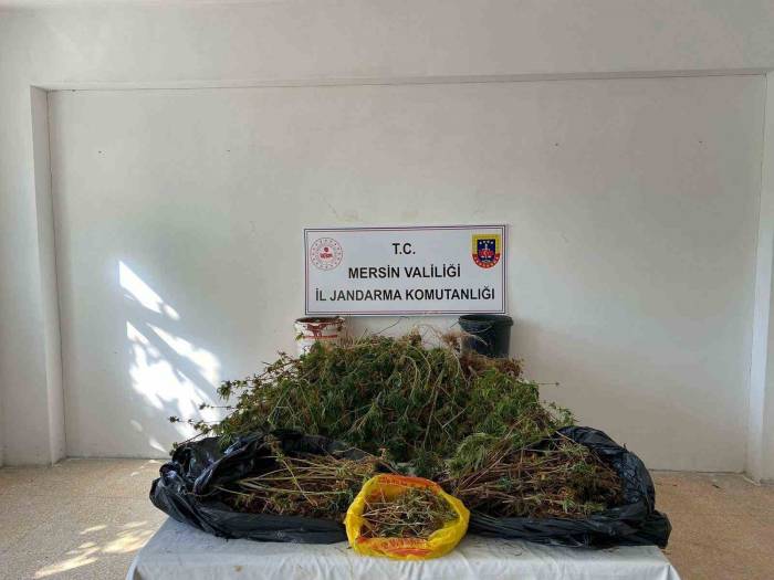 Mersin’de Uyuşturucu Operasyonu: 2 Gözaltı