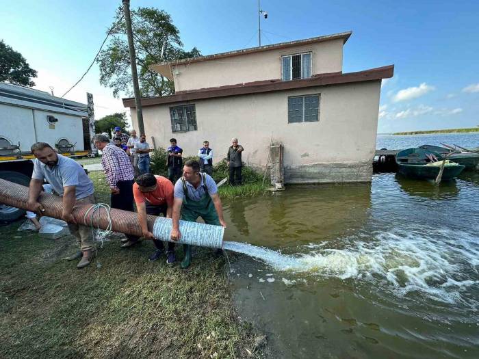 Samsun’da Baraj Ve Göllere 3 Milyon 200 Bin Sazan Yavrusu Bırakıldı