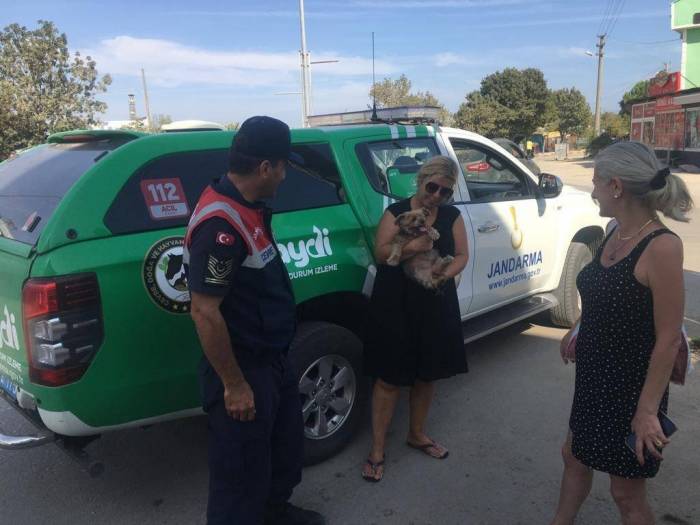 Evcil Hayvanları Tatil Bölgesinde Bırakanları İhbar Edin