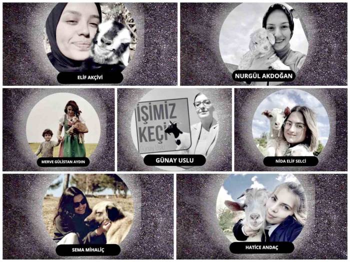 İnegöl’de Küçükbaş Hayvancılık Festivali Başlıyor