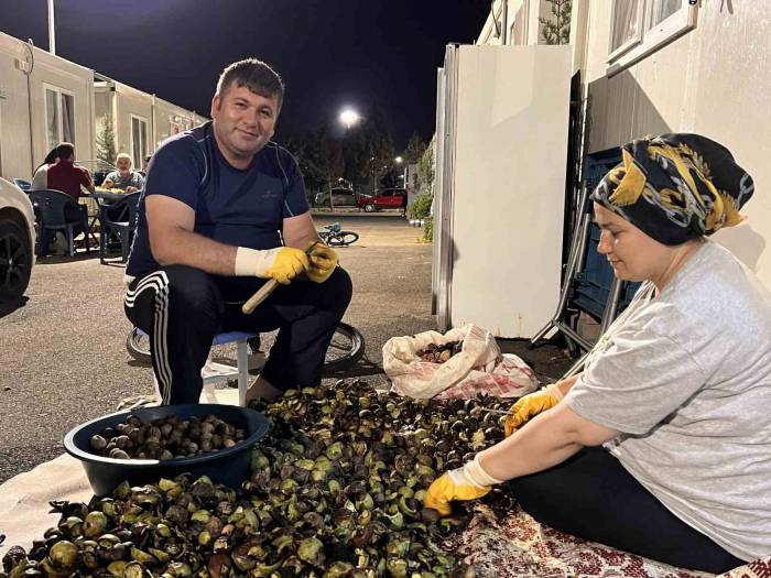 Konteyner Kentte Kışlık Telaşı