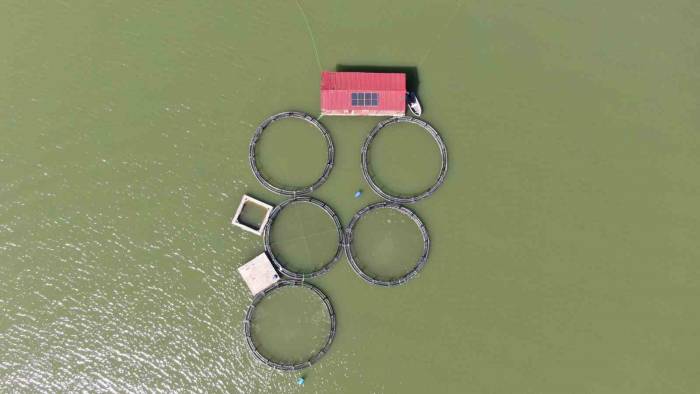 Balık Kafesleri Yırtıldı, Oltasını Alan Baraja Koştu