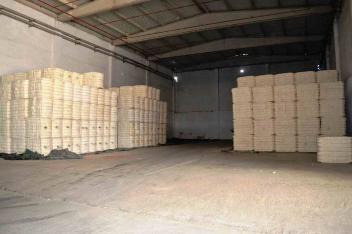 Söke Tariş Başkanı Özer Pamuk Alım Politikasını Açıkladı