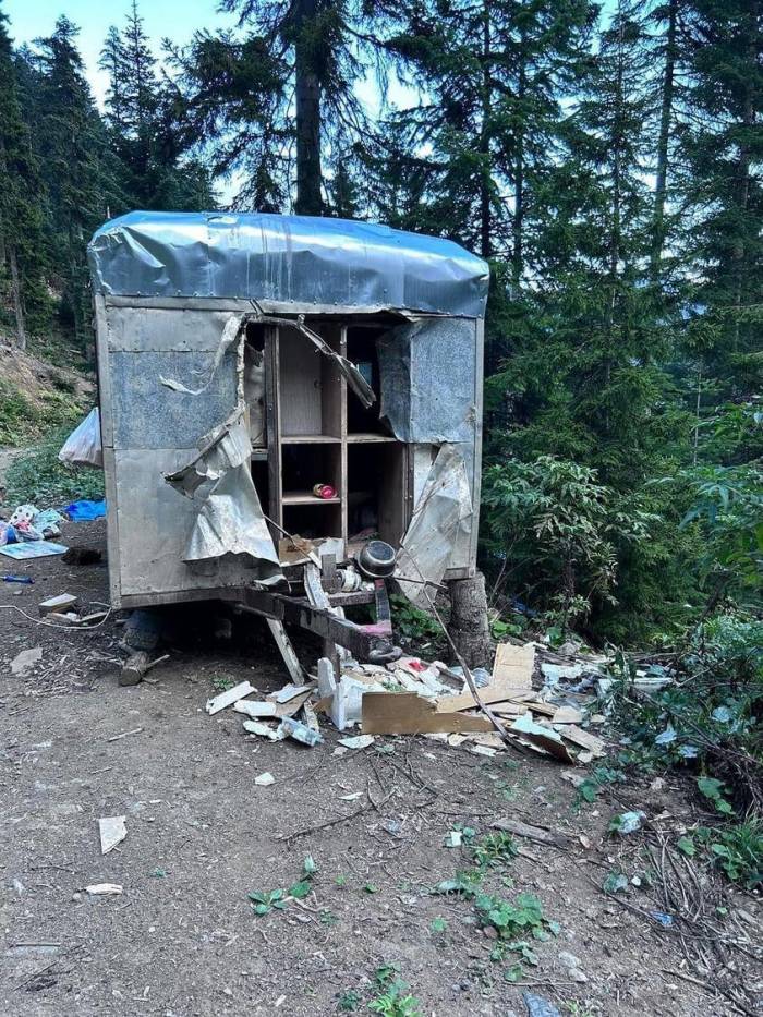 Aç Kalan Ayı Bu Kez Orman İşçilerinin Karavanını Talan Etti