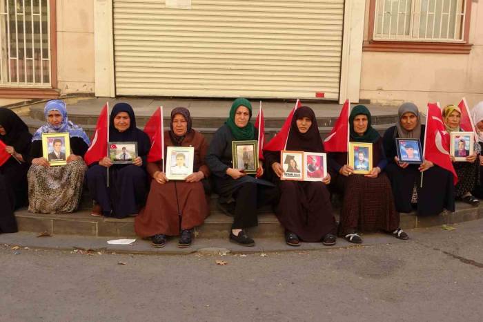 Diyarbakır Annelerinin Umutlu Bekleyişi Bin 486 Gündür Sürüyor