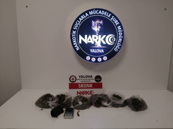 Yalova’daki Uyuşturucu Operasyonunda 1 Kişi Tutuklandı
