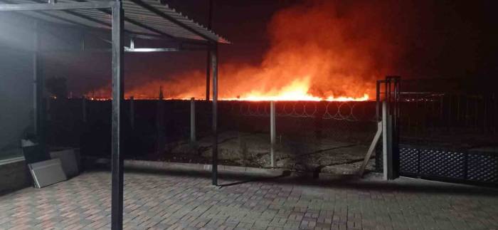 Anız Yangını Bahçeye Sıçradı