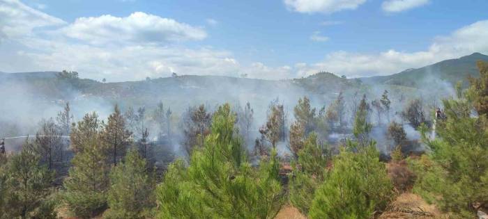 Kazdağları’nda Orman Yangını