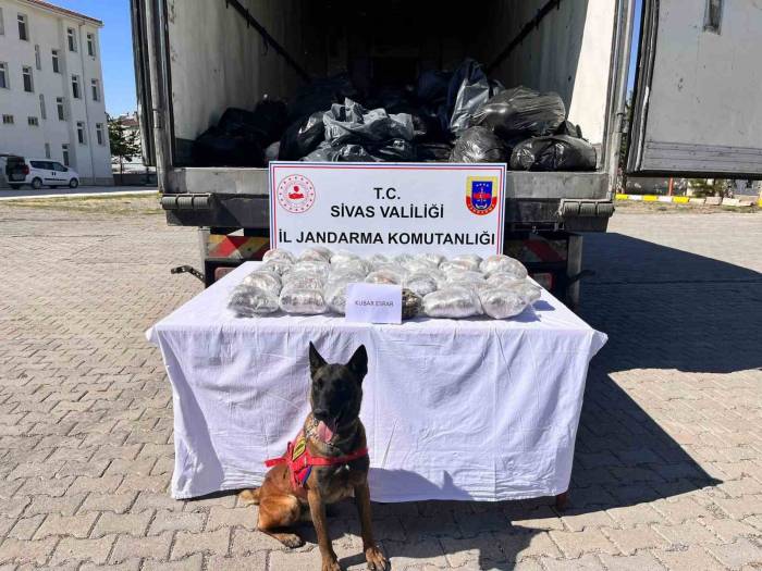 Görenleri Hayrete Düşürdü, Kayısı Kolisinden Kilolarca Uyuşturucu Çıktı