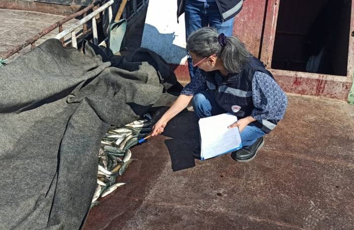 Van’da Su Ürünleri Denetimi Yapıldı