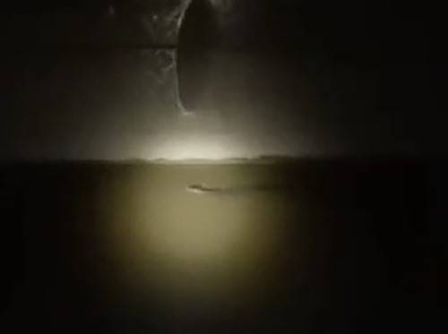 Diyarbakır’da Nesli Tükenmekte Olan ’su Samuru’ Görüldü