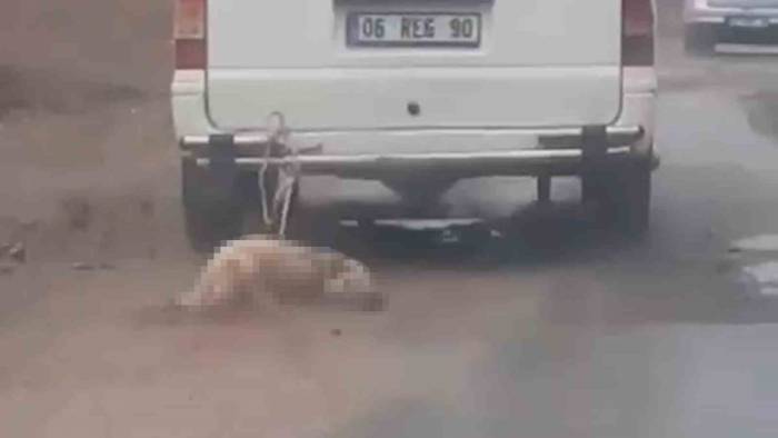 Minibüsün Arkasına Bağladığı Köpeği Dakikalarca Sürükledi