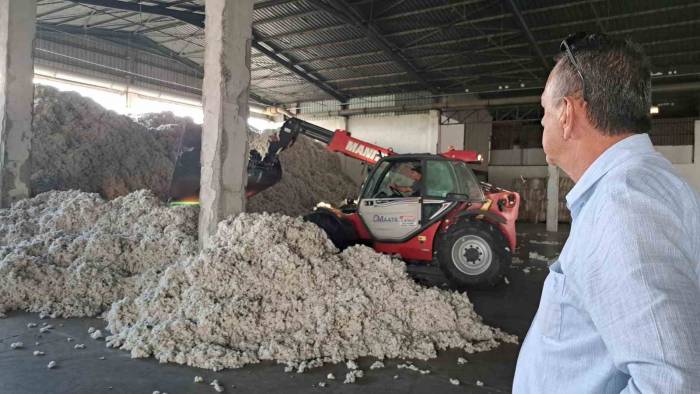 Söke Tariş’in İki Deposuna 3 Milyon Kilogram Pamuk Girişi Oldu