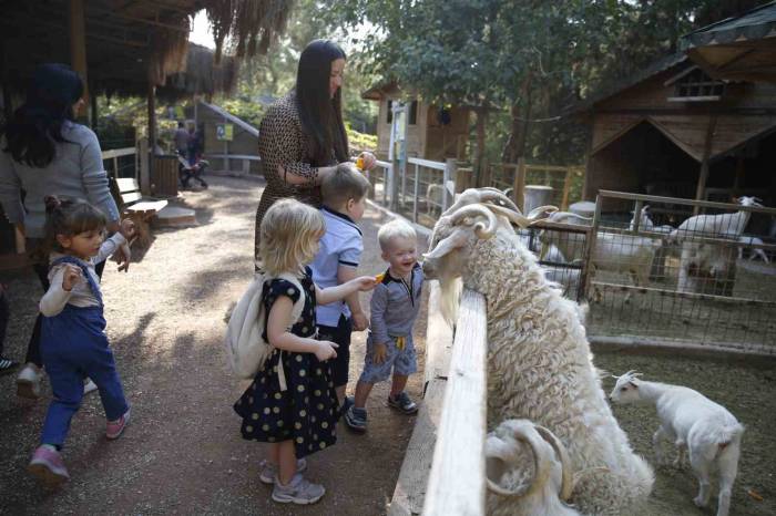 Antalya Doğal Yaşam Parkı 4 Ekim’de Ücretsiz