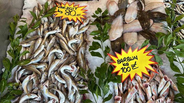 150 Liraya Kadar Çıkan Hamsi, 50 Liraya Düştü