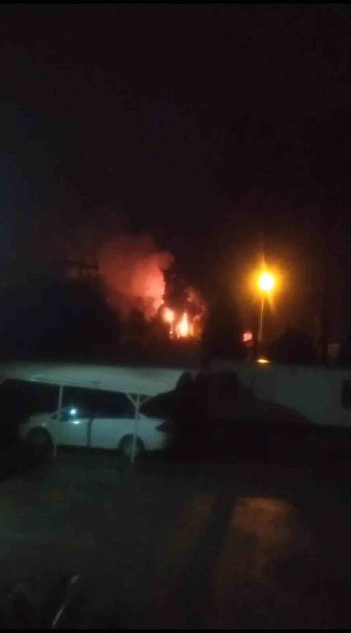 Yıldırımın İsabet Ettiği Ağaçlık Alan Alevlere Teslim Oldu