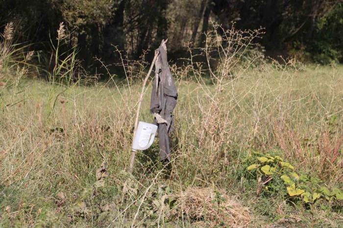 Köylüler Korkudan Tarlaya Gidemiyor, Karşılaşmamak İçin Dua Ediyorlar