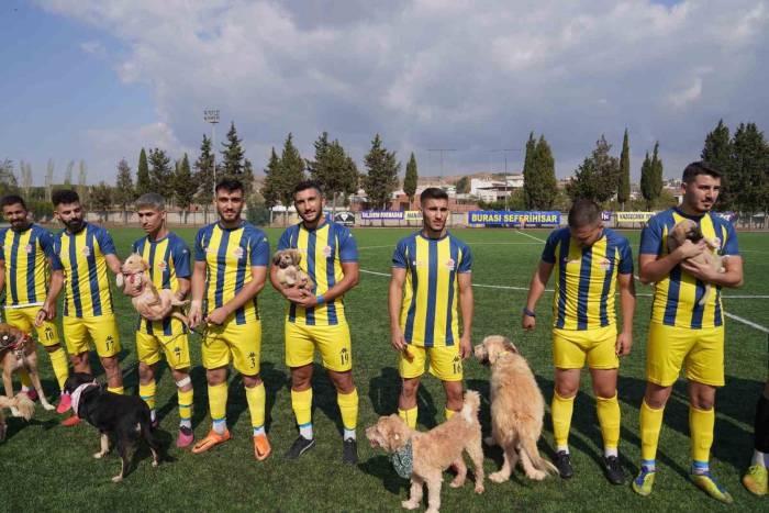 Maça Sahiplendirilmeyi Bekleyen Köpeklerle Çıktılar