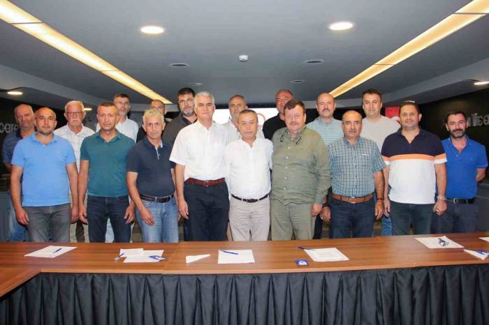 Zeytinde Yüzde 50 Oranında Rekolte Kaybı Yaşandı