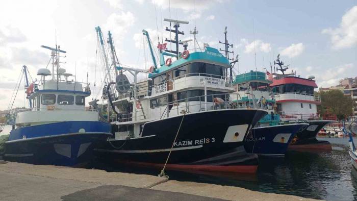 Hamsi Bolluğu Tayfaları Marmara’ya Akın Ettirdi