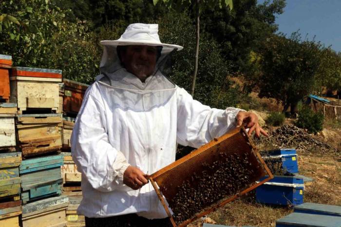 Kadın Girişimci Devletten Önce Eğitim, Sonra Da Kredi Alarak Arıcılığa Başladı
