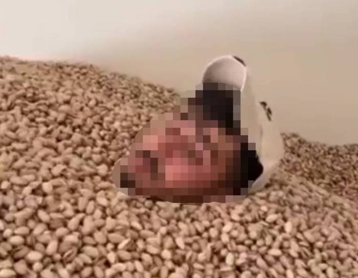 2 Ton Fıstığa El Konuldu