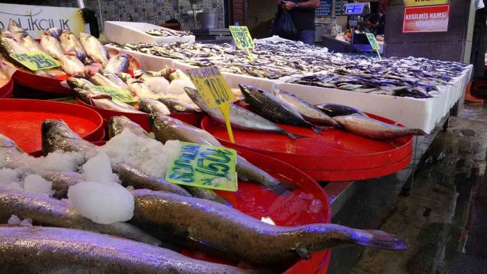 Hava Muhafeleti Nedeniyle Tekneler Denize Açılamayınca Hamsinin De Fiyatı Arttı