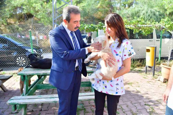 Çukurova Belediyesi Can Dostlara Sahip Çıkıyor