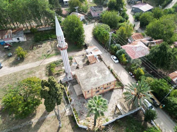 Cami Avlusundaki Hurmalar Toplandı