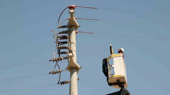 Toroslar Edaş Göçmen Kuşları Yalıtımlı Hatlarında Ağırladı