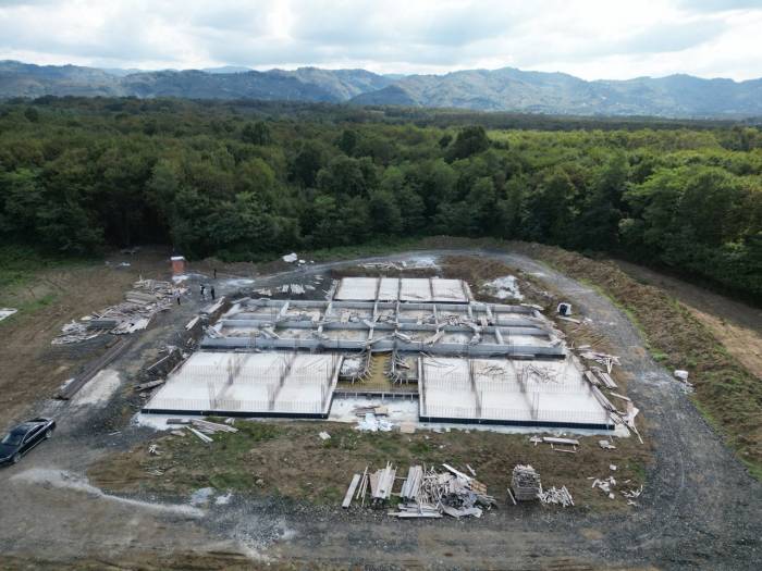 Başkan Doğan: “Sokak Hayvanları İçin Geçici Bakım Merkezi Yapıyoruz”