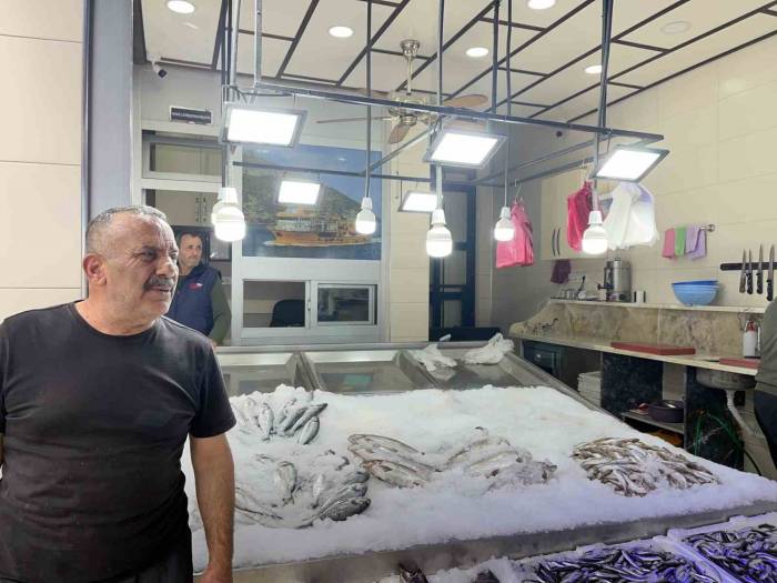 Deniz Suyu Sıcaklığı Balık Avını Olumsuz Etkiliyor