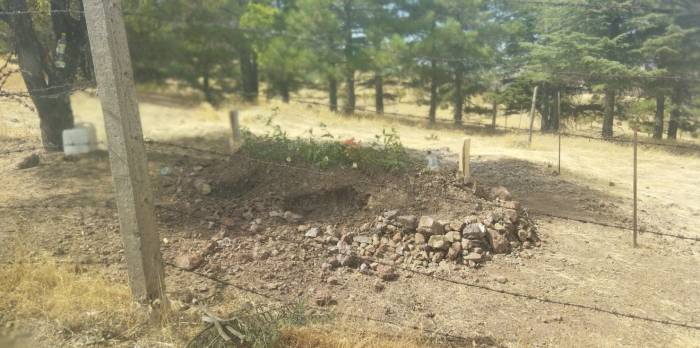Domuzların Talanı Bitmedi: Bu Defa Mezarlıklara Dadandılar