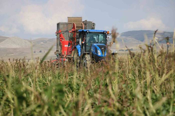 Felaketi Yaşamışlardı, Çiftçiyi De Binlerce Lira Zarara Uğrattı