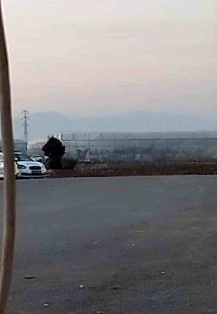 Sınır Hattında Bulunan El Bombası Ekipler Tarafından Patlatıldı