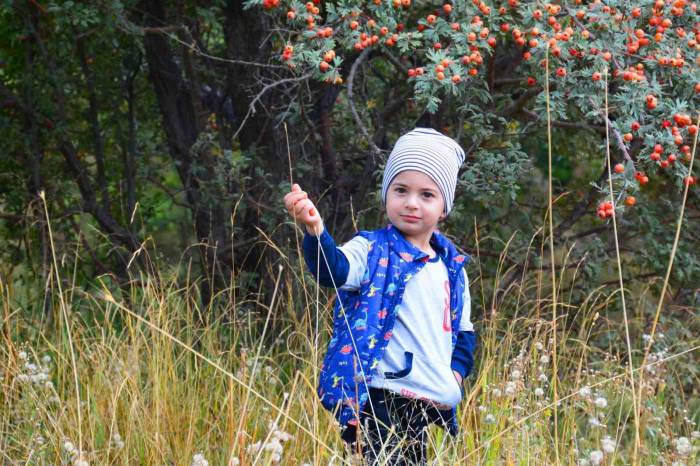 Tatvan’da “Sonbahar” Güzelliği