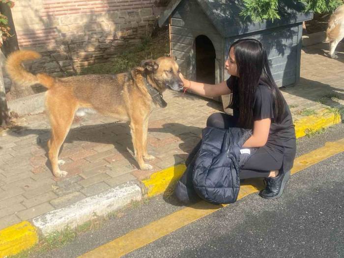 4 Ekim Dünya Hayvanları Koruma Günü’nde Polis Ekiplerinden Anlamlı Ziyaret