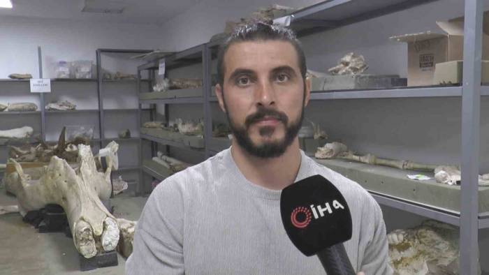 Taşhan Kazılarında ‘Zürafa Yılı’