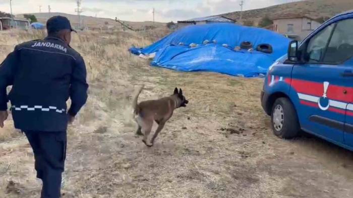 Saman Yığınından Uyuşturucu Çıktı: Narkotik Köpeği Böyle Buldu
