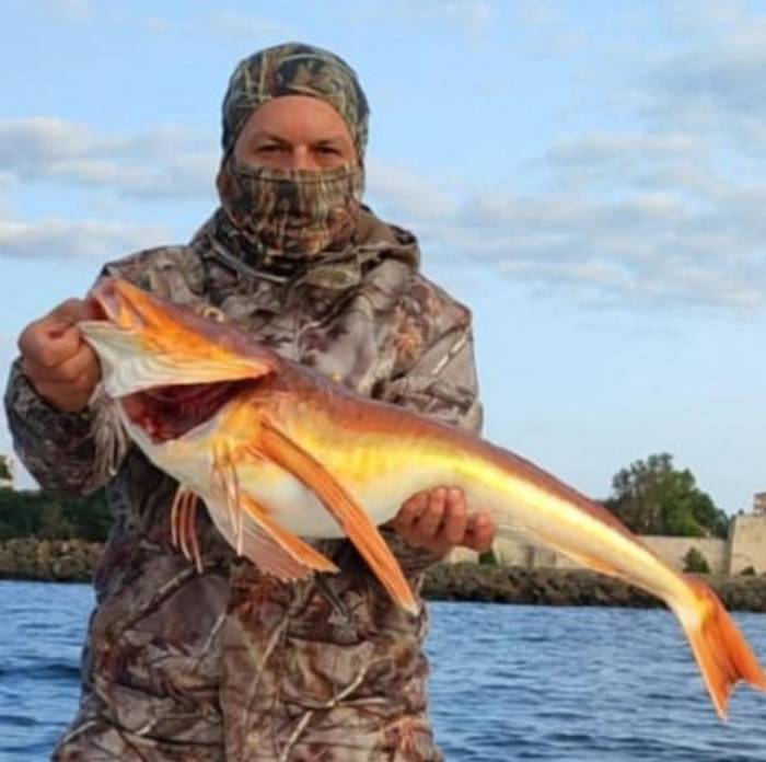 Olta İle 5 Kiloluk Kırlangıç Balığı Yakaladı