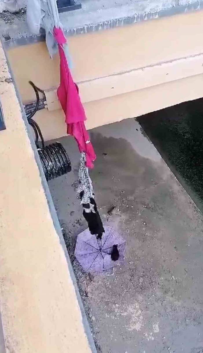 Şemsiye Ve Kıyafetle Kedi Kurtarma Operasyonu Kamerada