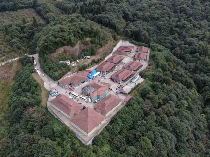 4 Ekim Dünya Hayvanları Koruma Günü’nde Sokak Hayvanları İle Vakit Geçirdiler